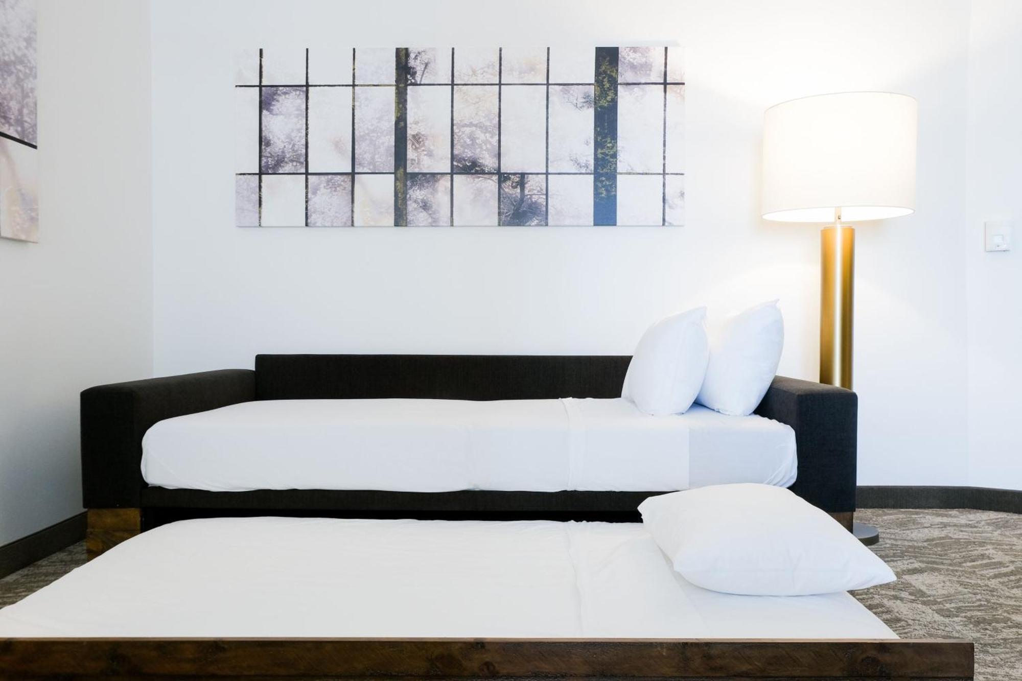 Springhill Suites By Marriott Dallas Richardson/Plano Bagian luar foto